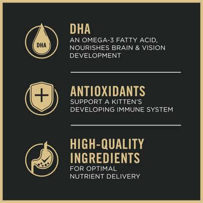 Complete Essentials Chicken & Rice Formula Kitten Dry Cat Food, 16-lb bag