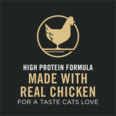 Complete Essentials 7+ Chicken & Rice Natural Senior Dry Cat Food, 3.5-lb bag