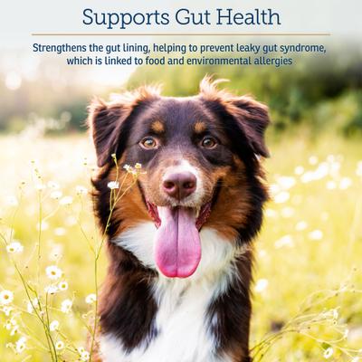 Colostrum Supplement for Cats & Dogs, 100 gram bottle