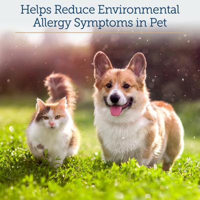 Colostrum Supplement for Cats & Dogs, 100 gram bottle