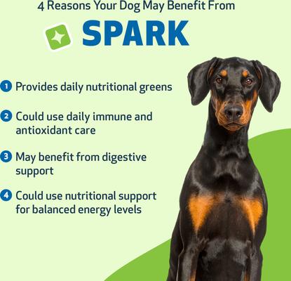 SPARK Bacon Flavored Powder Multivitamin for Dogs, 3.53-oz pouch