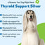 Thyroid Support SILVER Bacon Flavored Liquid Supplement for Dogs, 2-oz bottle