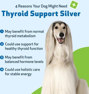 Thyroid Support SILVER Bacon Flavored Liquid Supplement for Dogs, 2-oz bottle