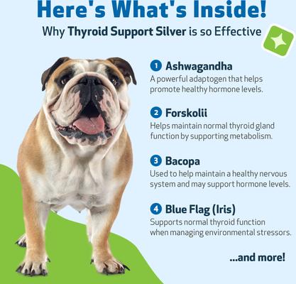 Thyroid Support SILVER Bacon Flavored Liquid Supplement for Dogs, 2-oz bottle