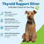 Thyroid Support SILVER Bacon Flavored Liquid Supplement for Dogs, 2-oz bottle