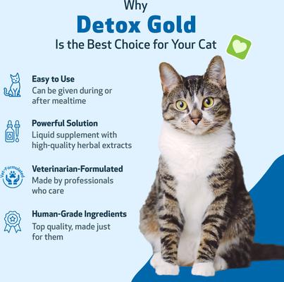 Detox GOLD Bacon Flavored Liquid Immune Supplement for Cats, 2-oz bottle