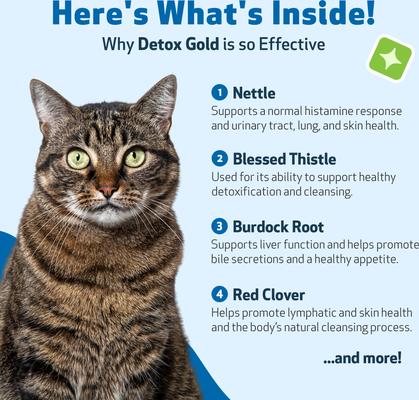 Detox GOLD Bacon Flavored Liquid Immune Supplement for Cats, 2-oz bottle