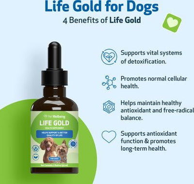 Life GOLD Bacon Flavored Liquid Immune Supplement for Dogs, 2-oz bottle