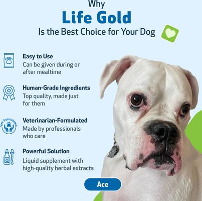 Life GOLD Bacon Flavored Liquid Immune Supplement for Dogs, 2-oz bottle