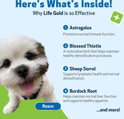 Life GOLD Bacon Flavored Liquid Immune Supplement for Dogs, 2-oz bottle