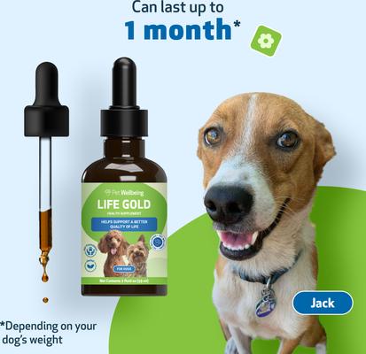 Life GOLD Bacon Flavored Liquid Immune Supplement for Dogs, 2-oz bottle