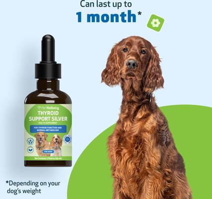 Thyroid Support SILVER Bacon Flavored Liquid Supplement for Dogs, 2-oz bottle