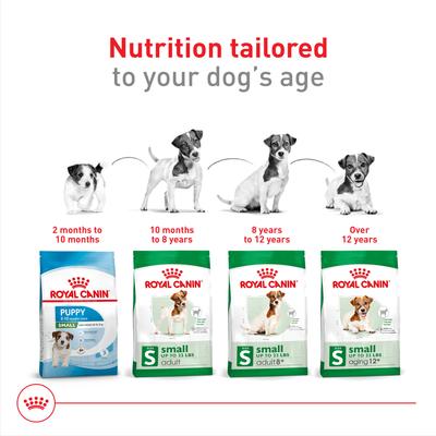 Alimento seco para perros adultos pequeños Size Health Nutrition, bolsa de 14 lb, paquete de 2