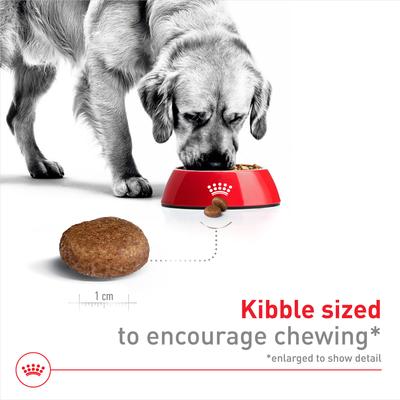 Size Health Nutrition Large Adult 5+ Dry Dog Food, 30-lb bag