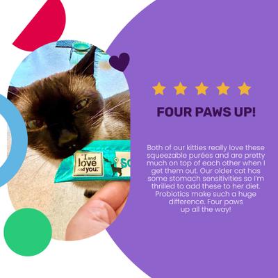 Meow Digestion Support Chicken Puree Recipe Lickable Cat Treat, 48 count