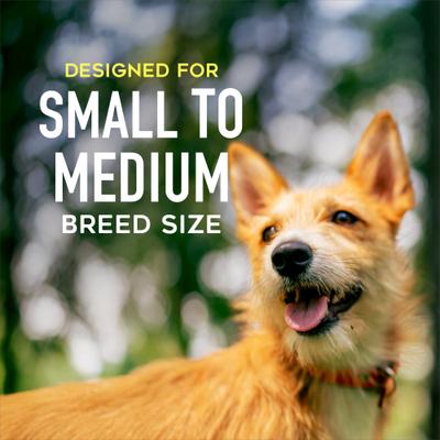 Grain-Free Savory Chicken, Duck & Duck Liver Pate Wet Cat Food, 3-oz cup, case of 4