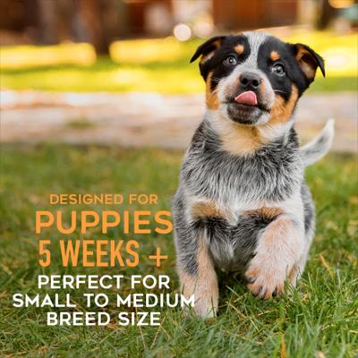 Baby Whole Foods Grain-Free Beef & Beef Liver Shreds Wet Dog Food, 3-oz cup, case of 4