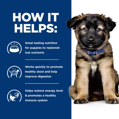 i/d Digestive Care with Turkey Minced Wet Puppy Food, 13-oz can, case of 12