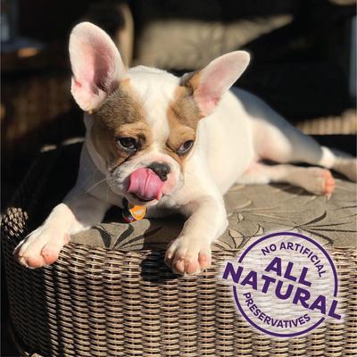 by Wellness Training Bitz Assorted Mix Natural Oven-Baked Biscuits Dog Treats, 8-oz bag