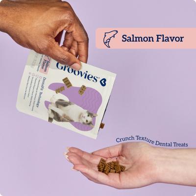 Salmon Flavor Dental Cat Chews, 1.76-oz bag