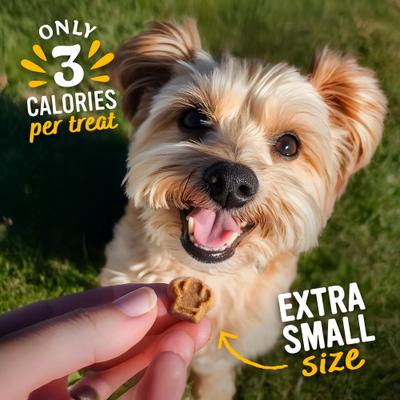 Perfect Trainers Beef Soft & Chewy Dog Treats, 6-oz bag