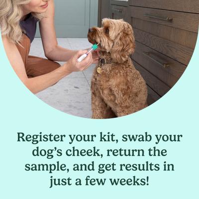 Breed Identification & Genetic Health Screening DNA Test Kit for Dogs