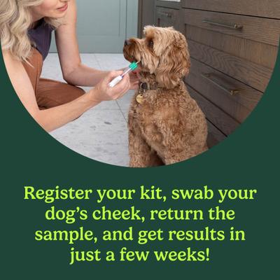 Breed Identification Dog DNA Test Kit