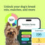 Breed Identification Dog DNA Test Kit