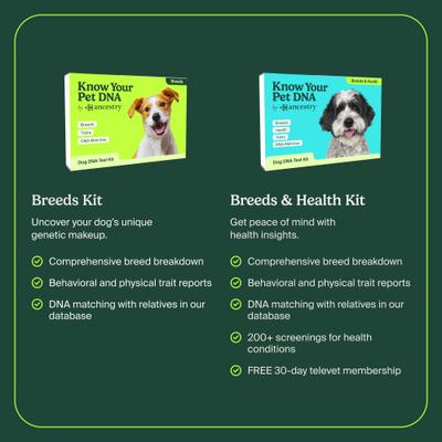 Breed Identification & Genetic Health Screening DNA Test Kit for Dogs