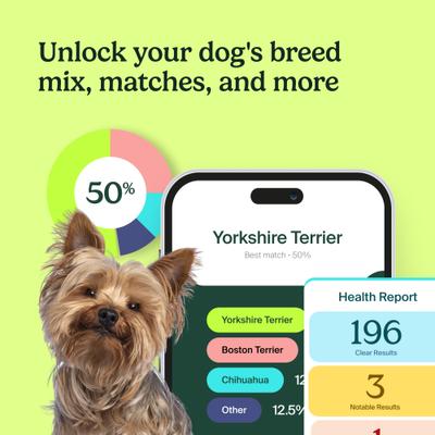 Breed Identification & Genetic Health Screening DNA Test Kit for Dogs