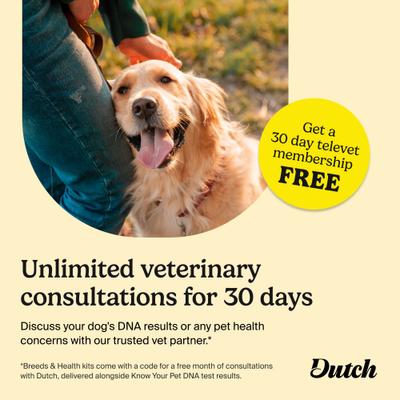 Breed Identification & Genetic Health Screening DNA Test Kit for Dogs