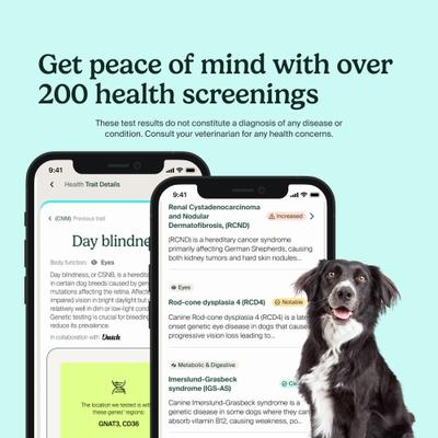 Breed Identification & Genetic Health Screening DNA Test Kit for Dogs