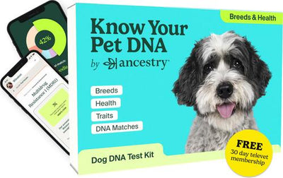 Breed Identification & Genetic Health Screening DNA Test Kit for Dogs