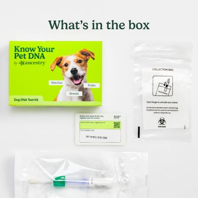 Breed Identification Dog DNA Test Kit