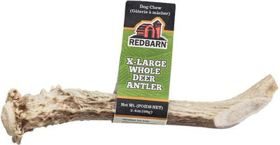 Whole Deer Antler Dog Chew, X-Large