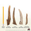 Whole Deer Antler Dog Chew, X-Large