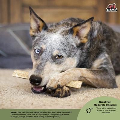 Whole Elk Antler Dog Chew, Large