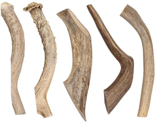 Whole Deer Antler Dog Chew, X-Large