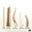 Half Elk Antler Dog Chew, Small/Medium