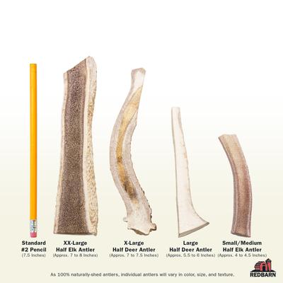 Half Elk Antler Dog Chew, Small/Medium