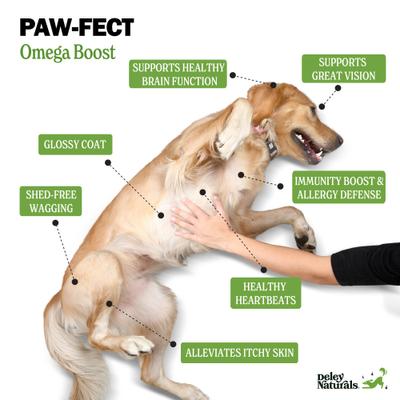 Fish Oil Dog Supplement, 16-fl oz bottle