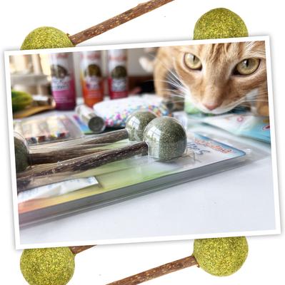 Lollies Silvervine Sticks with Catnip, 3 count