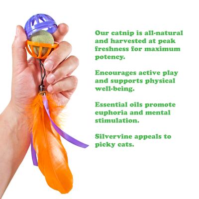 Purple Passion Whack 'n' Roll Compressed Catnip Ball with Cage