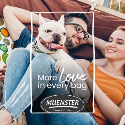 Perfect Balance Beef Meatballs Freeze-Dried Dog Treats, 4-oz bag