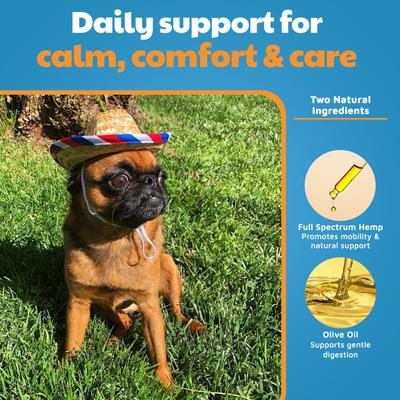 Full-Spectrum Hemp Extract Tincture for Dogs & Cats, 250-mg