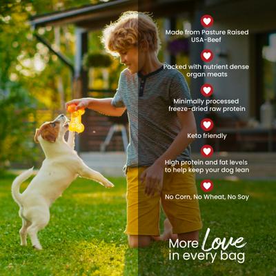 Perfect Balance Beef Meatballs Freeze-Dried Dog Treats, 4-oz bag