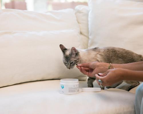 ModucareVET Immune Chew Supplement for Dogs, 90 count jar