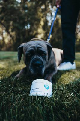 Canine Geriatric Basics Chew Supplement for Senior Dogs, 90 count jar