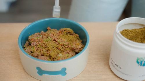 Probiotic Support Formula Digestive Aid Powder Supplement for Dogs, 60 scoops