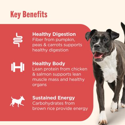 Bundle: Rachael Ray Nutrish Gentle Digestion Real Chicken, Pumpkin & Salmon + Real Beef & Pumpkin Canned Dog Food